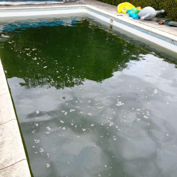 Dirty swimming pool