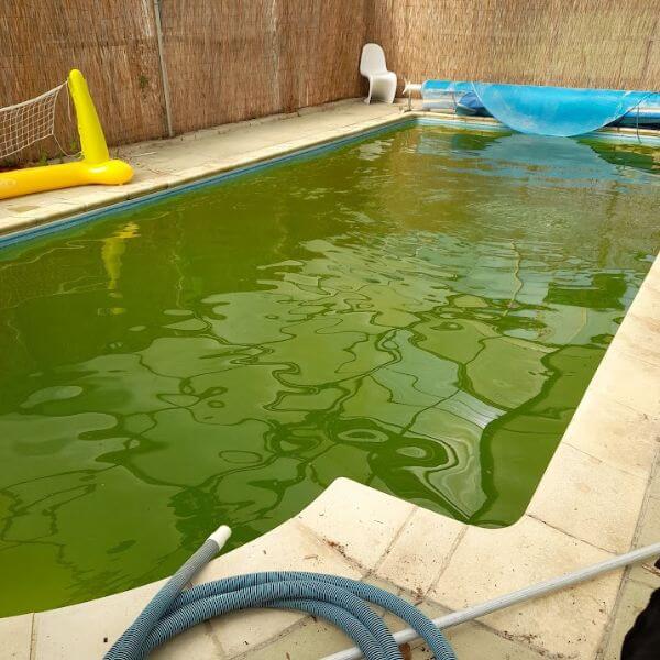 Green swimming pool