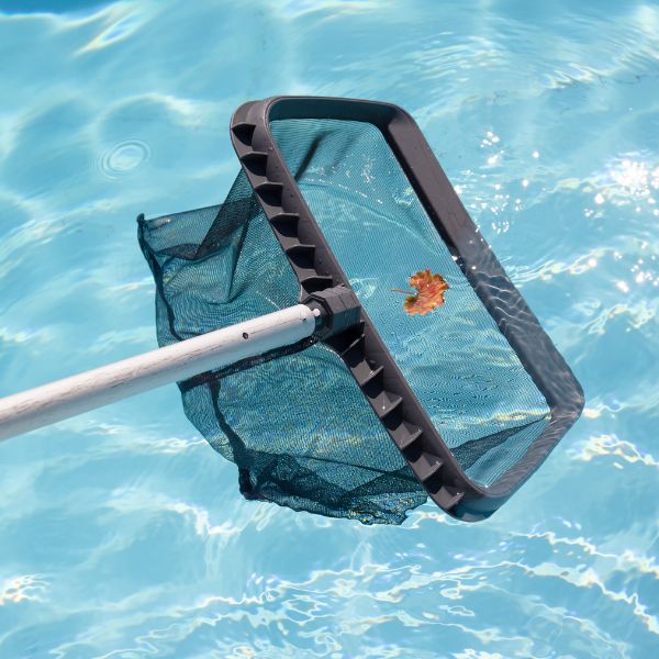 Person removing dirt and leaves from a swimming pool with a net