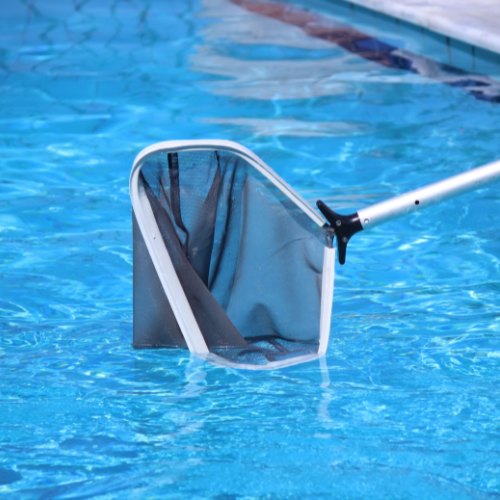 Scooping leaves out of a swimming pool with a net