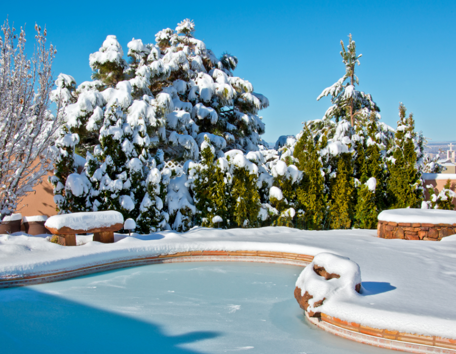 Snowy trees around a swimming pool
